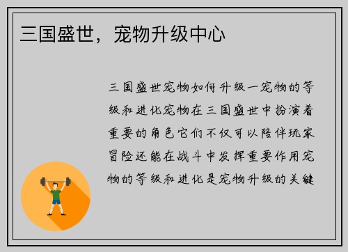 三国盛世，宠物升级中心